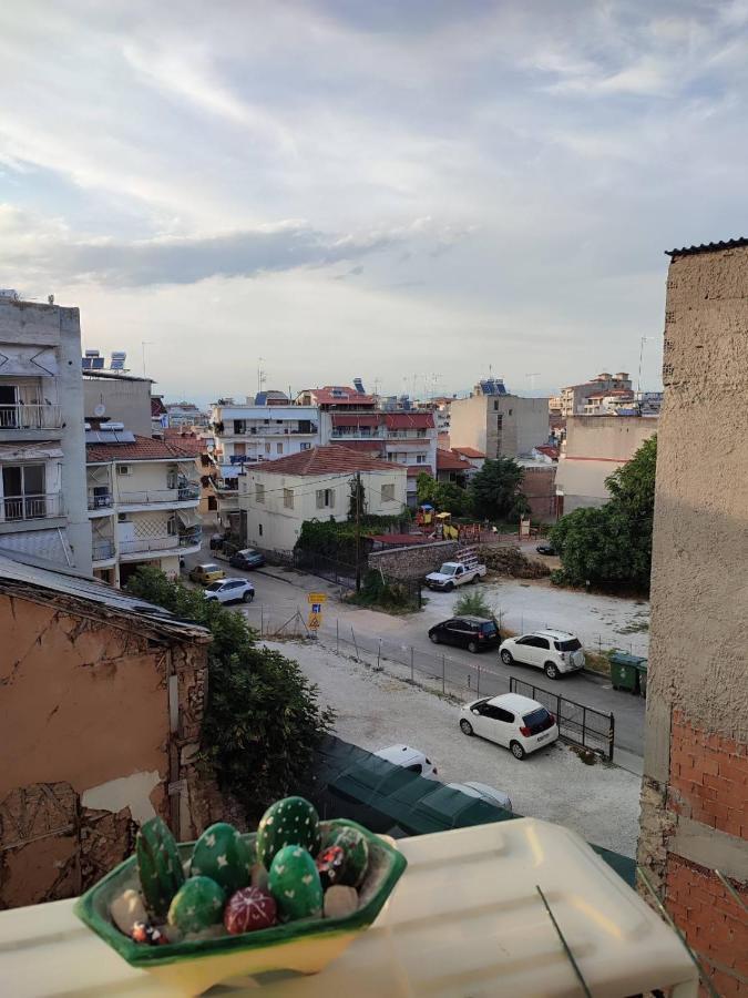 Appartamento Ονειροπαγίδα Veria  Esterno foto