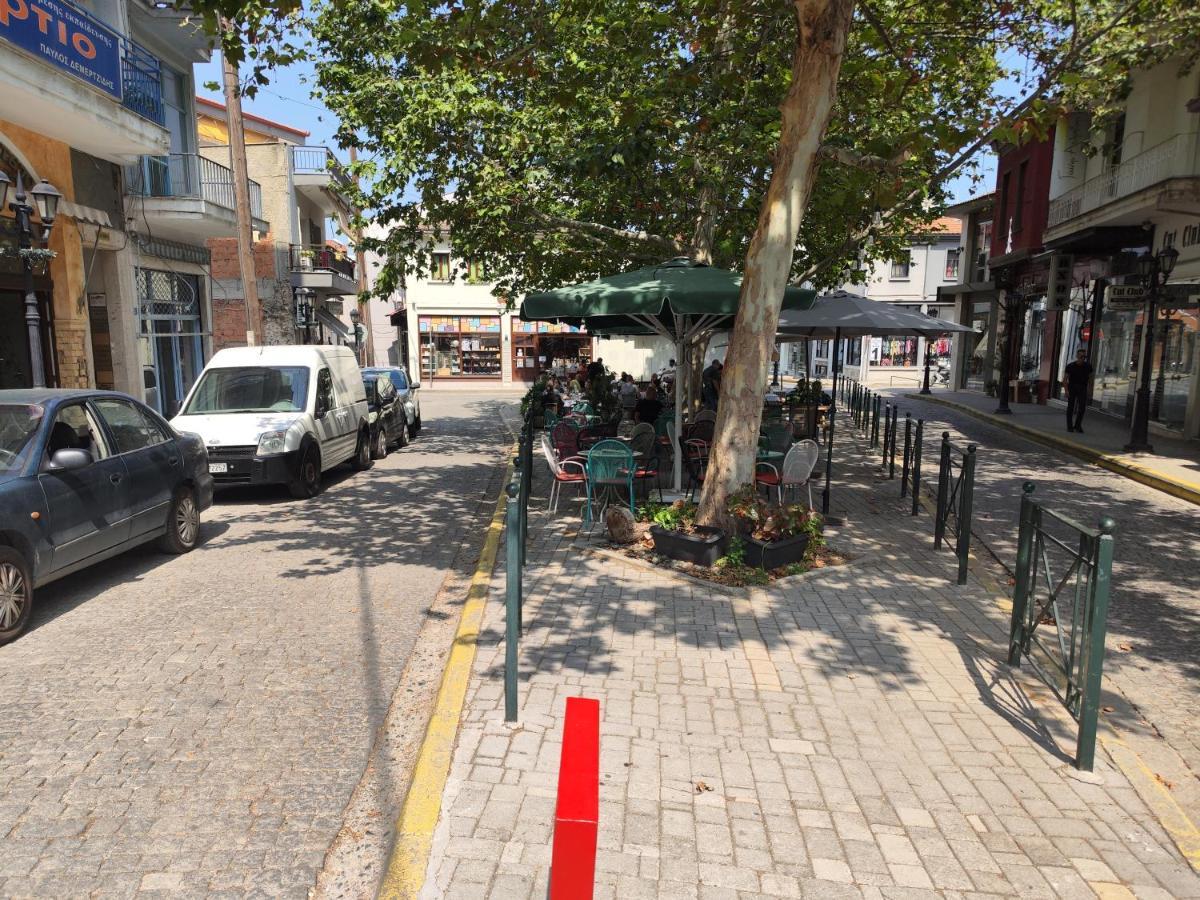 Appartamento Ονειροπαγίδα Veria  Esterno foto